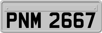 PNM2667