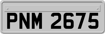 PNM2675