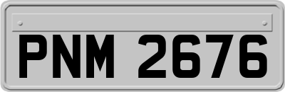 PNM2676