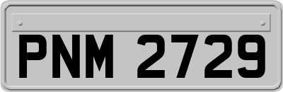 PNM2729