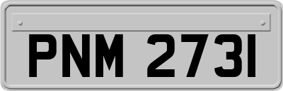 PNM2731