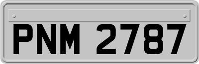 PNM2787