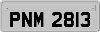 PNM2813