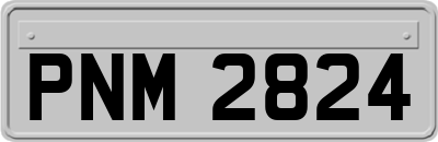 PNM2824