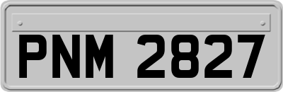 PNM2827