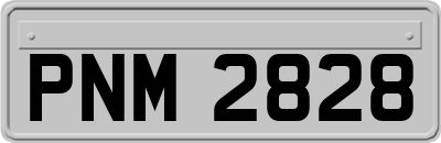 PNM2828