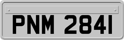 PNM2841