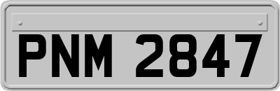 PNM2847