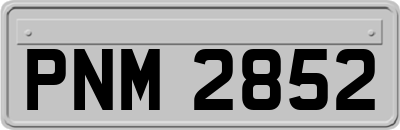 PNM2852