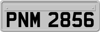PNM2856