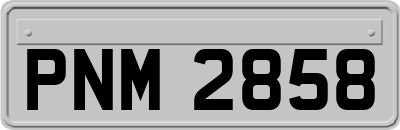 PNM2858