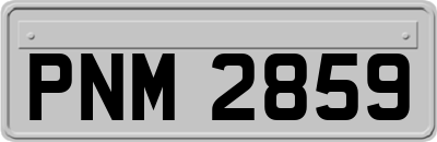 PNM2859