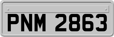 PNM2863