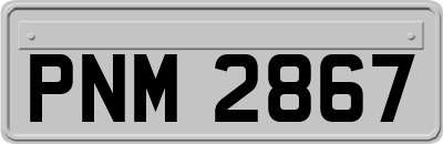 PNM2867