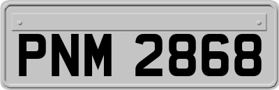 PNM2868