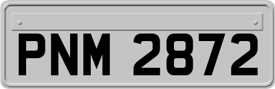 PNM2872
