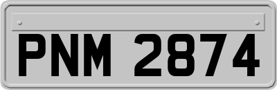 PNM2874