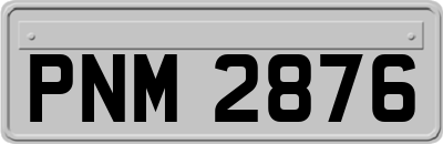 PNM2876