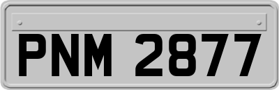 PNM2877