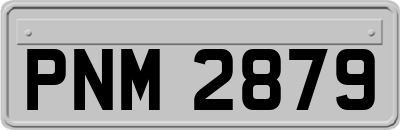 PNM2879