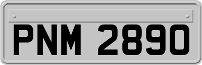 PNM2890