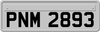 PNM2893