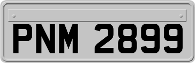 PNM2899