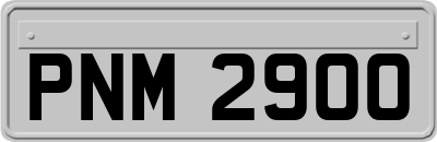 PNM2900