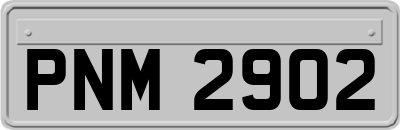 PNM2902