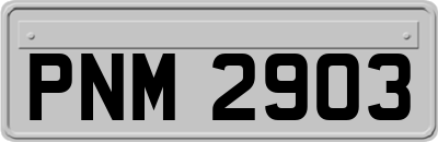 PNM2903