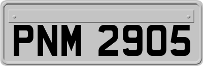 PNM2905
