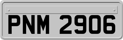 PNM2906