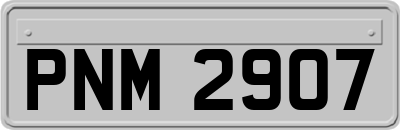 PNM2907