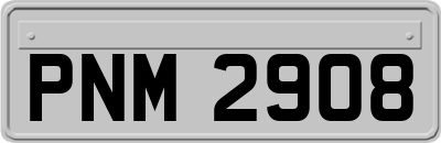 PNM2908