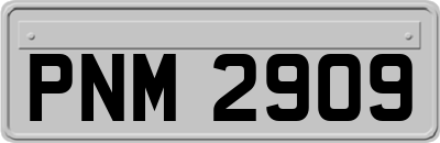 PNM2909