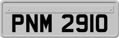 PNM2910