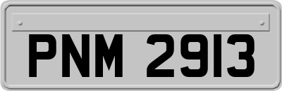 PNM2913