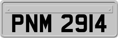 PNM2914
