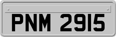 PNM2915