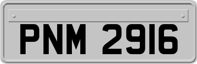 PNM2916