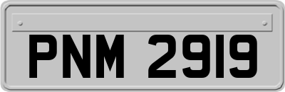 PNM2919