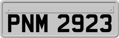PNM2923