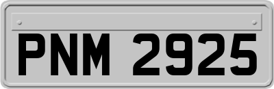 PNM2925