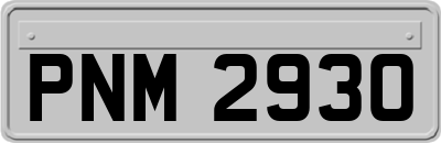 PNM2930