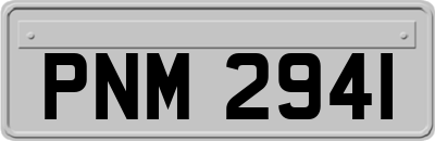PNM2941