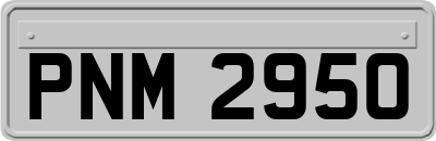 PNM2950