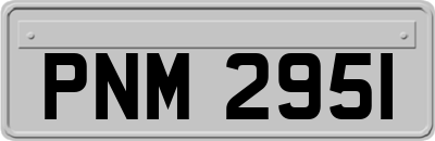 PNM2951