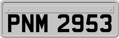PNM2953