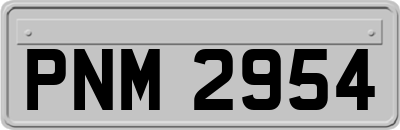 PNM2954