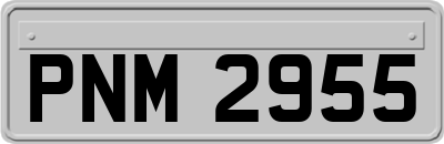 PNM2955